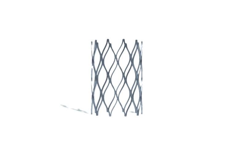 Renata Medical secures CMS reimbursement boost for pediatric stent innovation