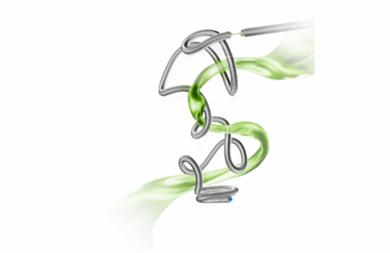 MicroPort NeuroScientific debuts Numen coil embolization system in Egypt